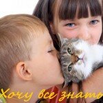 домашний питомец и ребёнок