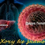 гепатит B
