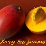 Эффективная манговая диета