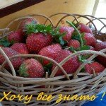 как похудеть зимой