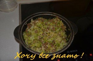 ленивые голубцы