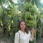 экскурсия на банановый остров
