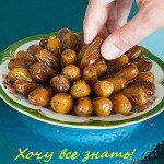 Диета на финиках