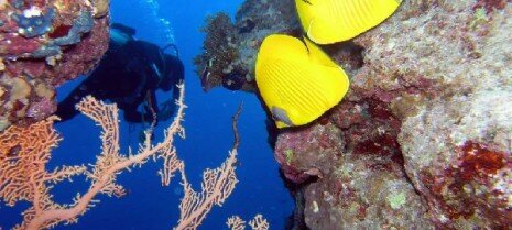 красное море египет